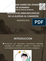 Alergia Alimentos Camarones