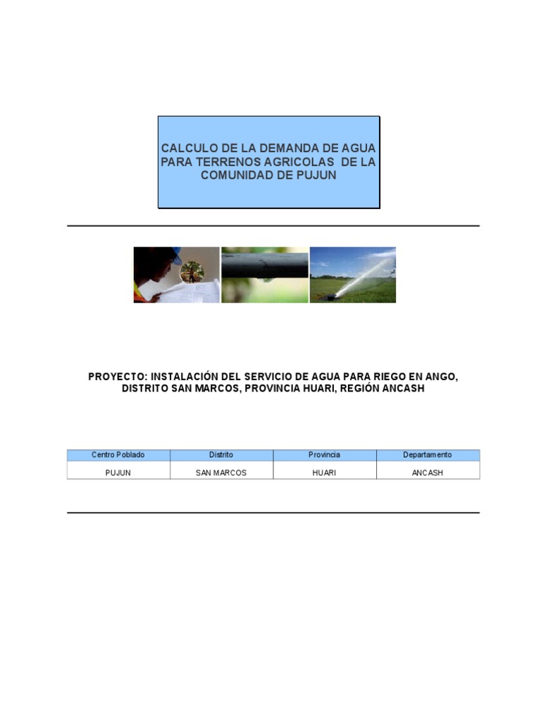Demanda de Agua para Riego en Pujun | PDF | Vegetales | Hidrología