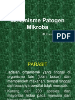 Mekanisme Patogen Mikroba