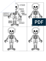 minillibre esquelet