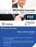 MS Project