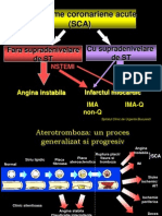 16173898 Sindroame Coronariene Acute