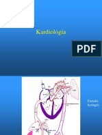 Kardiol Ogia