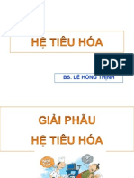 He Tieu Hoa