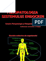 Endo Rom1 ( Fiziopatologie)