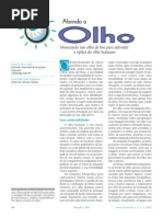 Dissecando Um Olho de Boi Para Entendera Optica