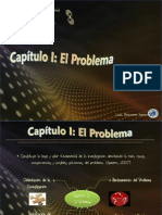 Capítulo I - El Problema