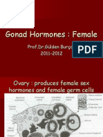 Female Hormones