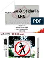 Brunei & Sakhalin LNG