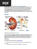 Pemisahan Campuran Berdasarkan Ukuran Partikelnya Pdf