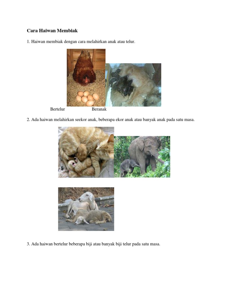 Cara Haiwan Membiak Pdf