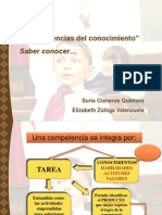 Las Evidencias de Conocimiento (Saber Conocer)