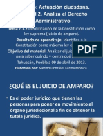 2.1.2.qué Es El Juicio de Amparo