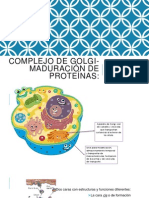 Complejo de Golgi-Maduración de Proteínas