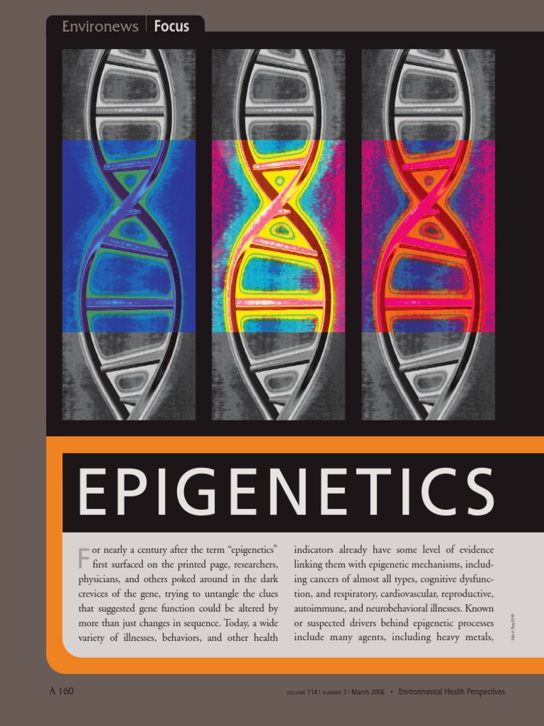 Epigenetic S | PDF | Epigenetics | Dna Methylation