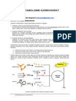 4-metabolisme_karbohidrat