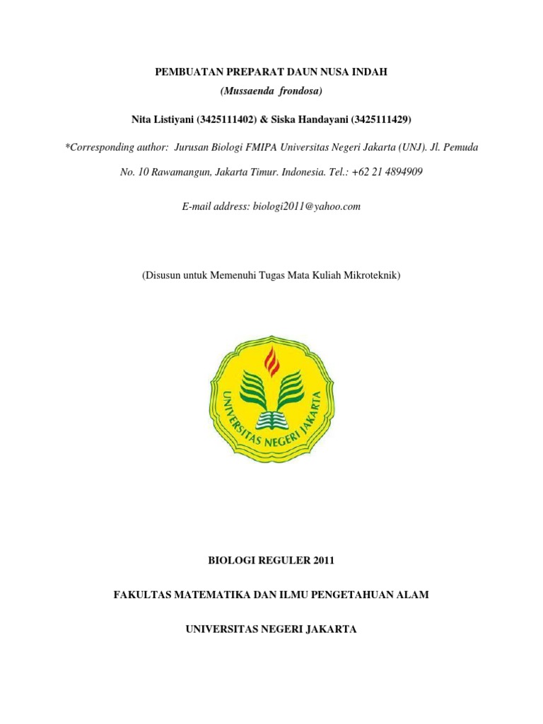 Preparat Daun Mussaenda Frondosa Siska&Nita