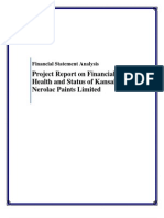 Financial Statement Analysis - Nerolac