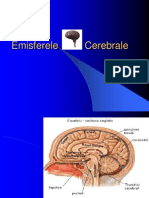 Emisferele Cerebrale