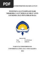 Download MAKALAH BIOTEKNOLOGI KELAUTAN by Novia Hertiyani SN210107229 doc pdf