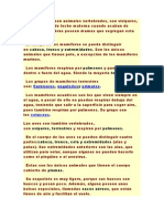 Mamíferos, aves, reptiles, anfibios y peces: las principales diferencias