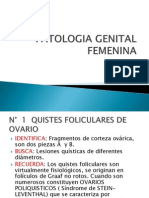 PATOLOGÍA GENITAL FEMENINA