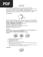 Aula de Biologia - Divisão Celular