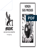 Venza Sus Miedos PDF