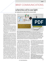 E.coli See Light Artikel ( Zur Vorlesung Lipps)