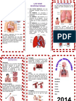 Sistema Respiratorio Triptico