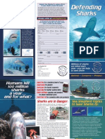 Sea Shepherd Shark Brochure UK