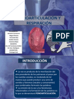 Fonoarticulacion 2