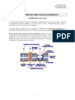 3Celula_Partes.pdf