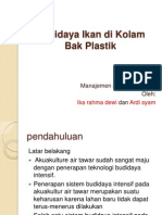 Presentase Budidaya Dikolam Bak Plastik