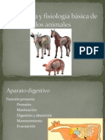 Anatomía y Fisiología Digestivo