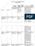 Documentacion Del Proceso de Enfermeria Cuaddros