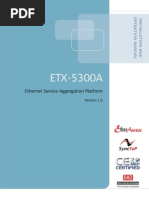 ETX-5300A: Ethernet Service Aggregation Platform