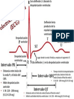 Elementos ECG