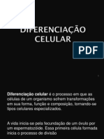 Diferenciação Celular