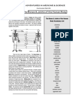 4-bonejointcurriculum