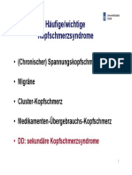 2012-11-12-10h15-Kopfschmerz_allgemein.pdf