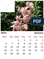 Calendar Orchids