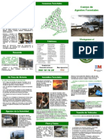 Triptico Forestal