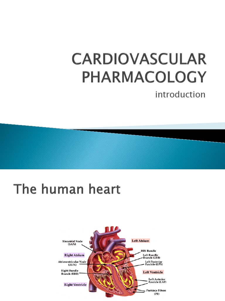 Cardiovascular Pharmacology PDF Drugs Pharmacology