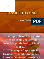 Basmul Toamnei (1)