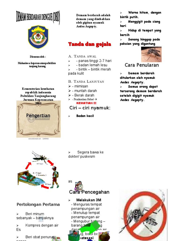 Leaflet DBD.doc