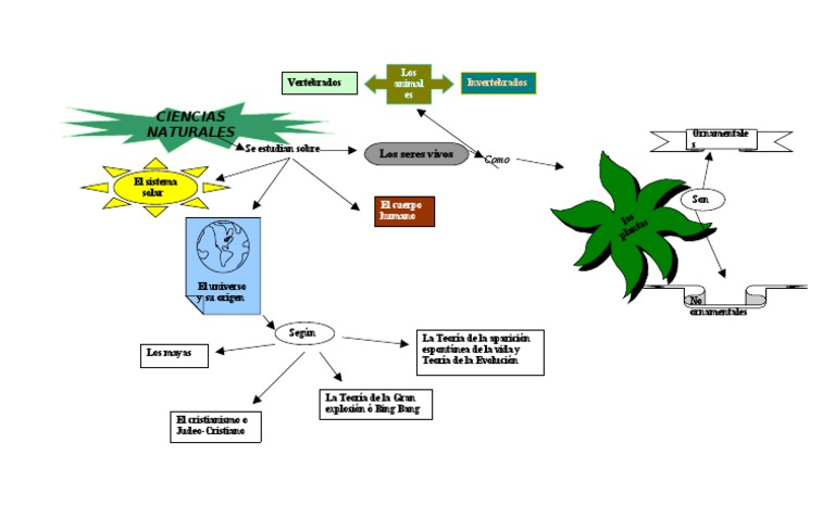 Mapa Conceptual De Ciencias Naturales Evolución Biológica Organismos