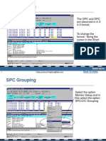 SPC CIC Grouping