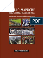 Libro Pueblo Mapuche