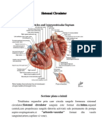 Sistem Circulator - Semiologie